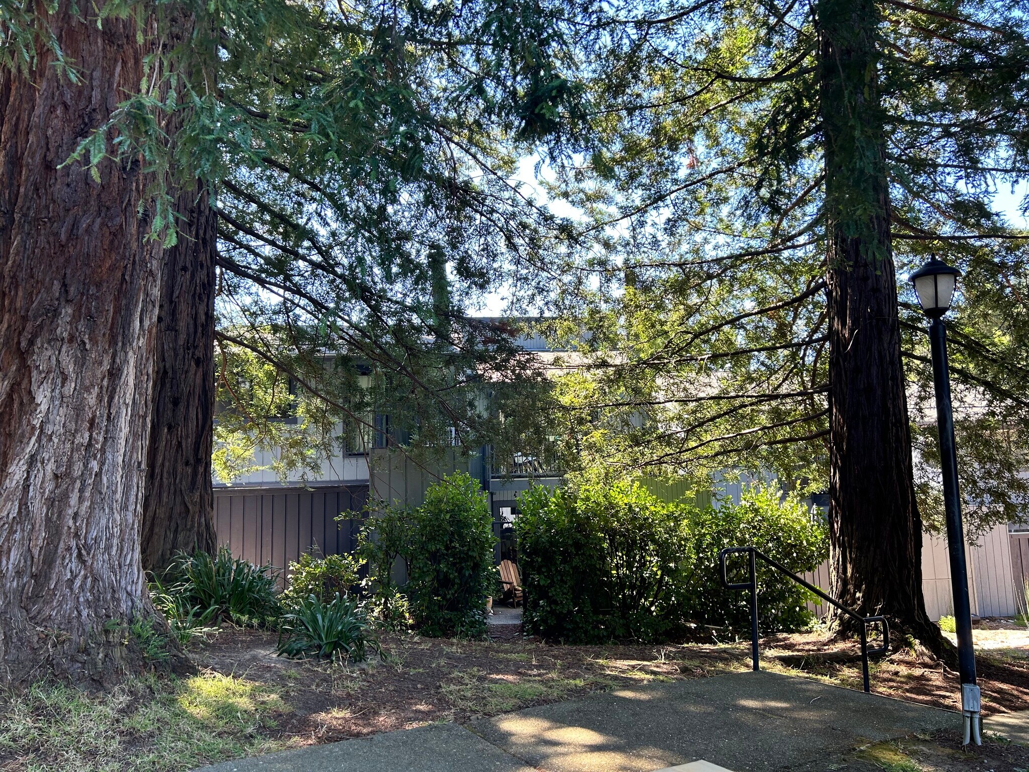 Back of House - 17 Deuce Ct