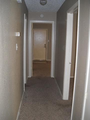 Building Photo - 925 Minter Ln