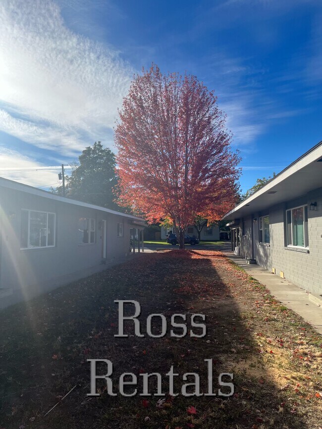 Primary Photo - 417 N 23rd Ave