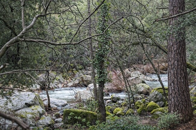 Building Photo - 14739 River Trail