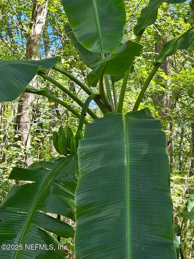 Building Photo - 2061 Harvard St