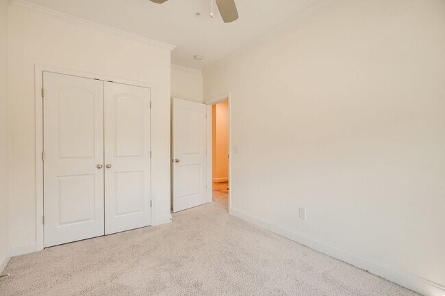 Building Photo - 3125 Sassafras Ln