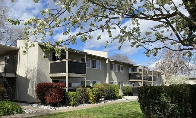 Primary Photo - Menlo Pointe