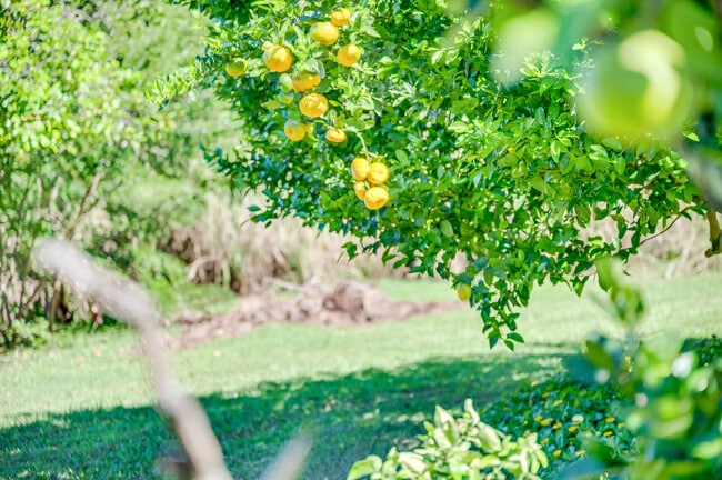 Building Photo - 275 Haumana Rd