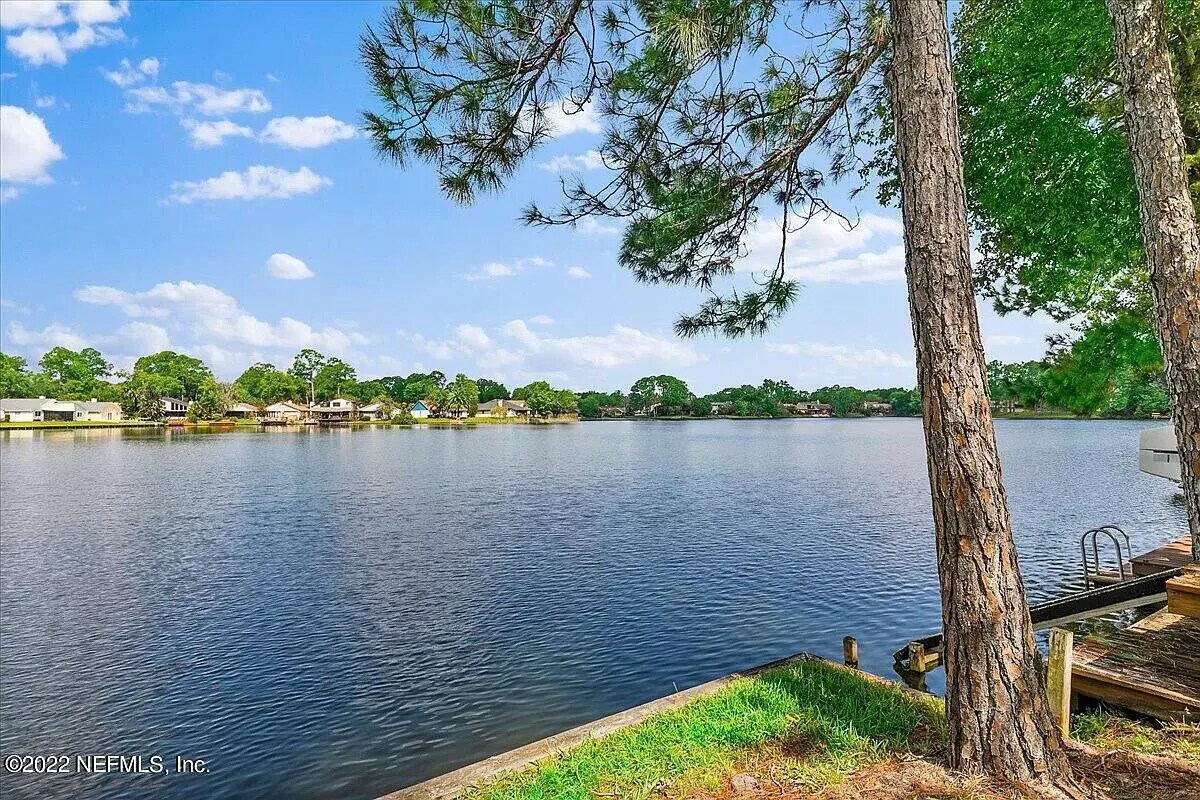 Backyard - 11290 Lake Mandarin Cir E
