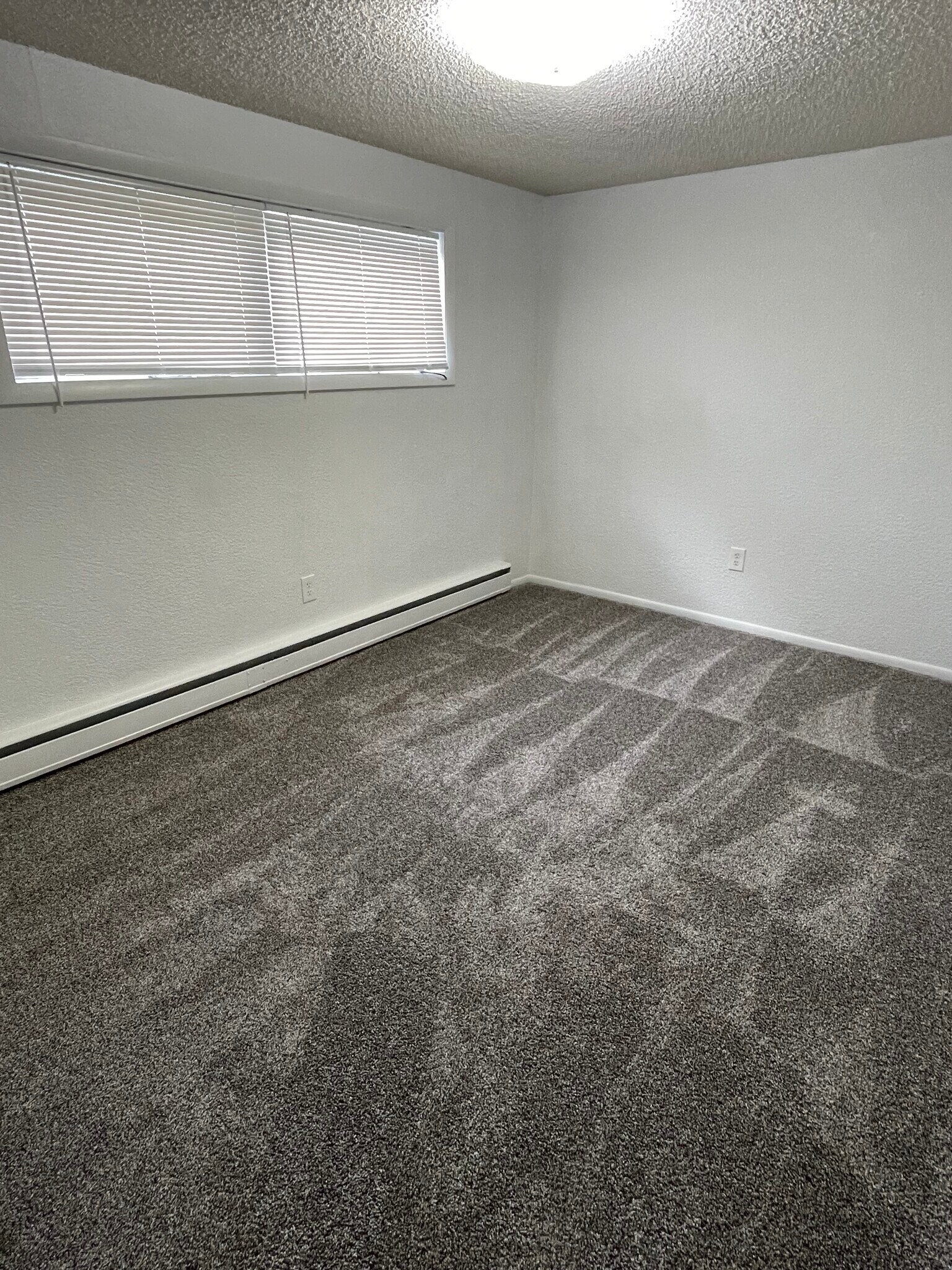 Bedroom #2 - 2901 8th Ave N