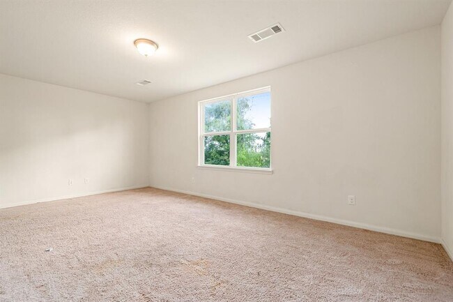Building Photo - 1331 Diamond Drape Dr