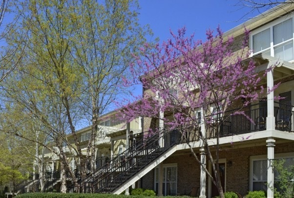 Building Photo - The Woodlands of Athens