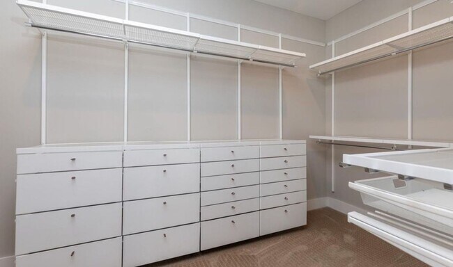 Building Photo - Gorgeous & Large 3 Bedroom 2 Bath Home wit...
