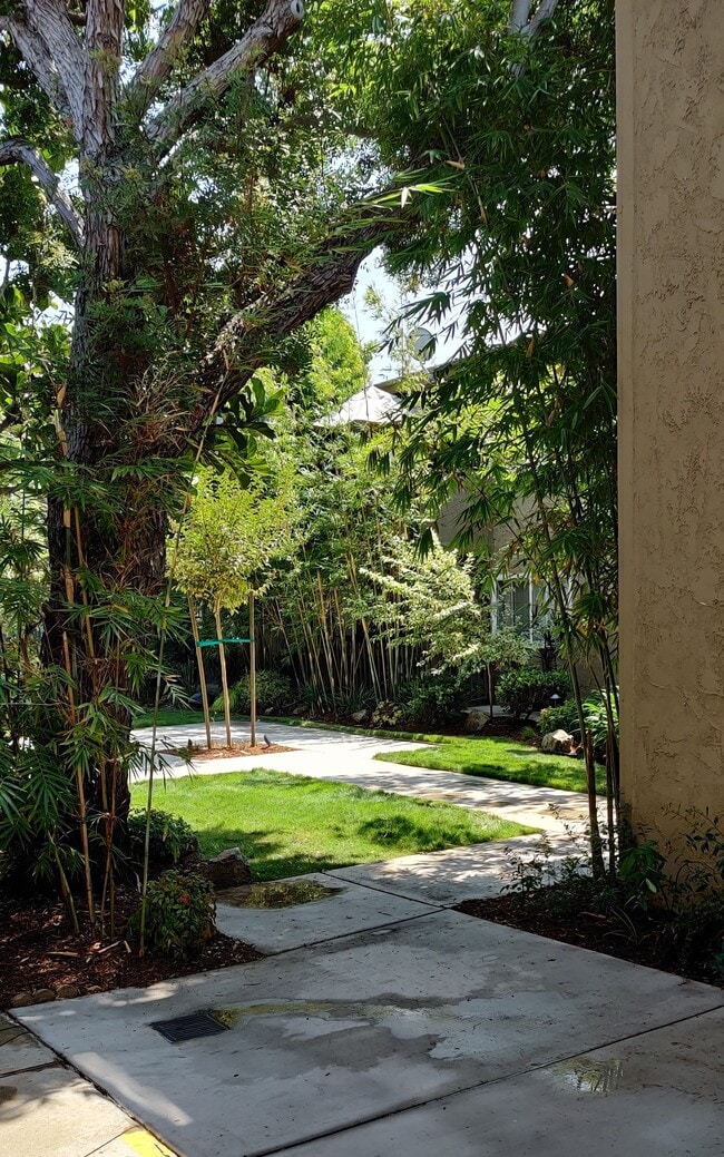 Landscaping from door - 4727 W 147th St