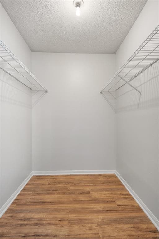 Building Photo - 8703 Schick Rd