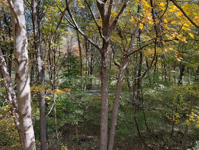 Building Photo - 175 Mill Pond Rd