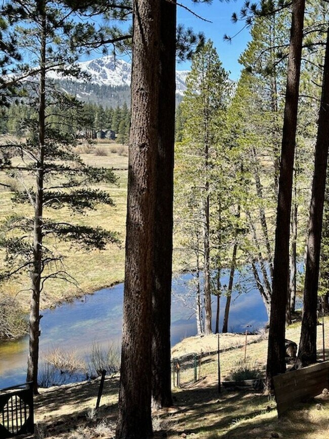 Building Photo - Warm & Inviting Cabin on the Meadow Avail. rental for 6-7 people!! Available starting 8/15/26!! C...