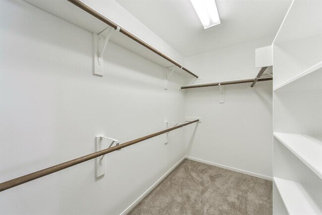 Building Photo - 3107 Towering Oak St