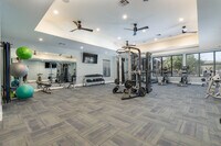 Building Photo - Platinum Castle Hills