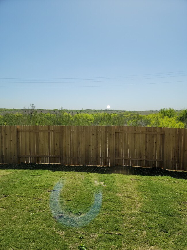 Backyard - 13103 Brave Tenderfoot Trl