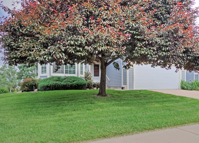 Building Photo - 6689 Showhorse Ct