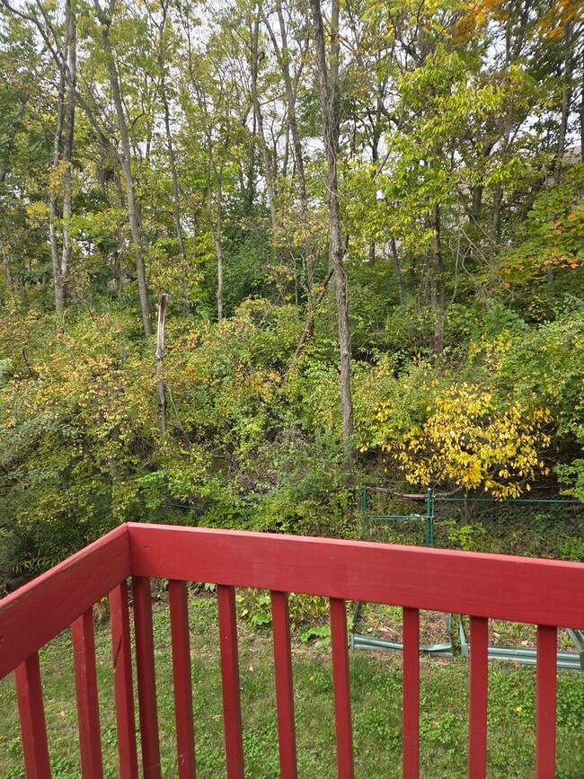 Deck - 2120 S Azalea Ln