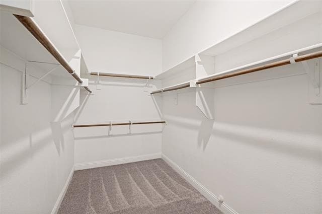 Building Photo - 4549 El Paso Dr