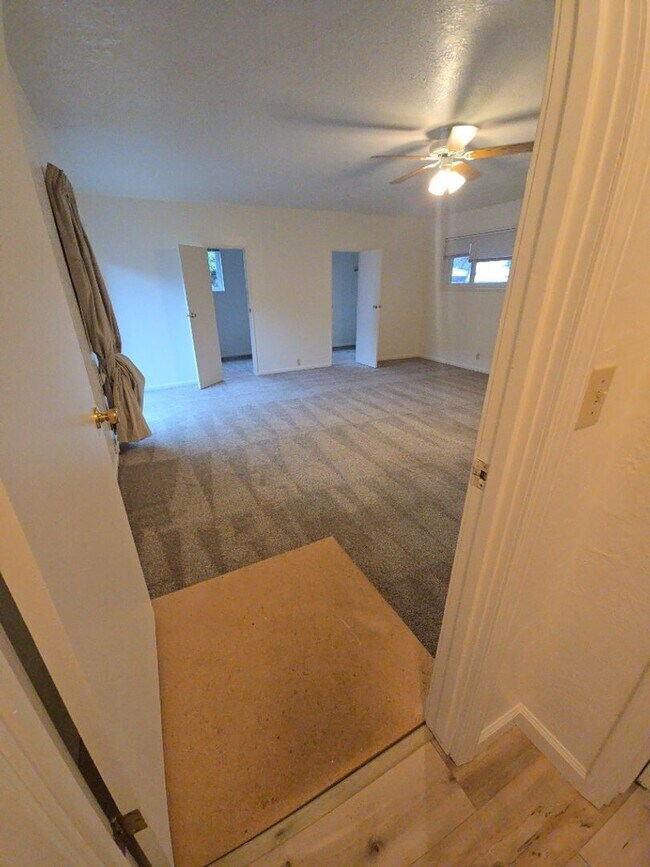 Building Photo - Spacious 4 Bedroom, 2 Bathroom Jacksonville Home