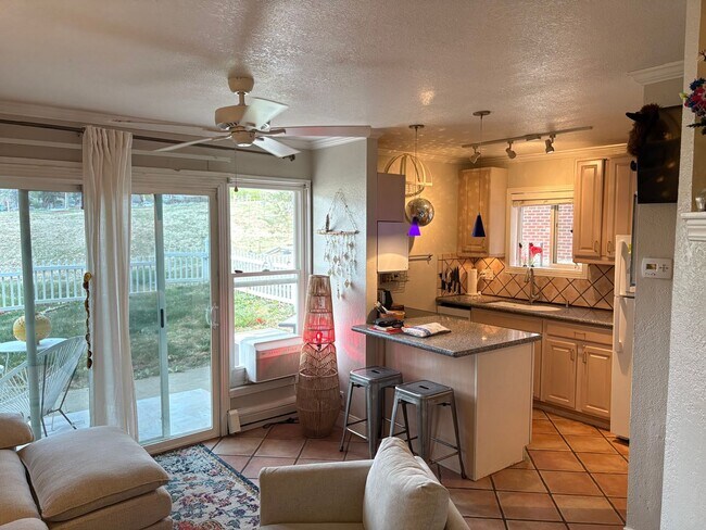 Building Photo - One Bedroom Condo Walking Distance to CU with Fenced Backyard and Flatiron Views!