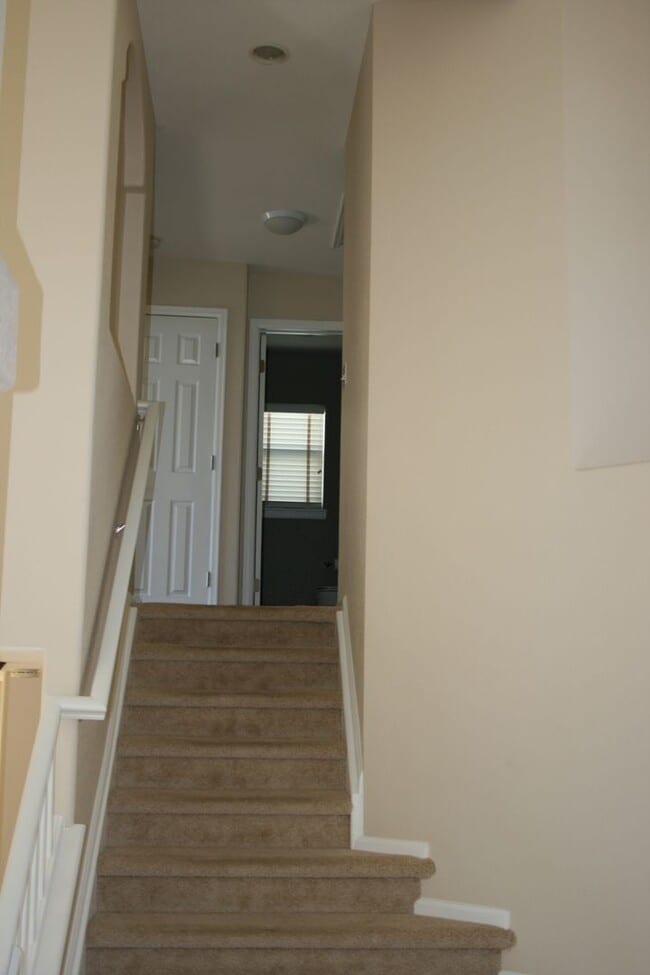 Building Photo - 10748 Appaloosa Ct