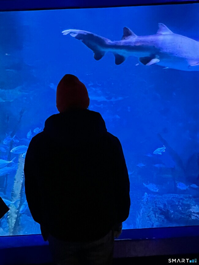 Building Photo - 33 N Water St