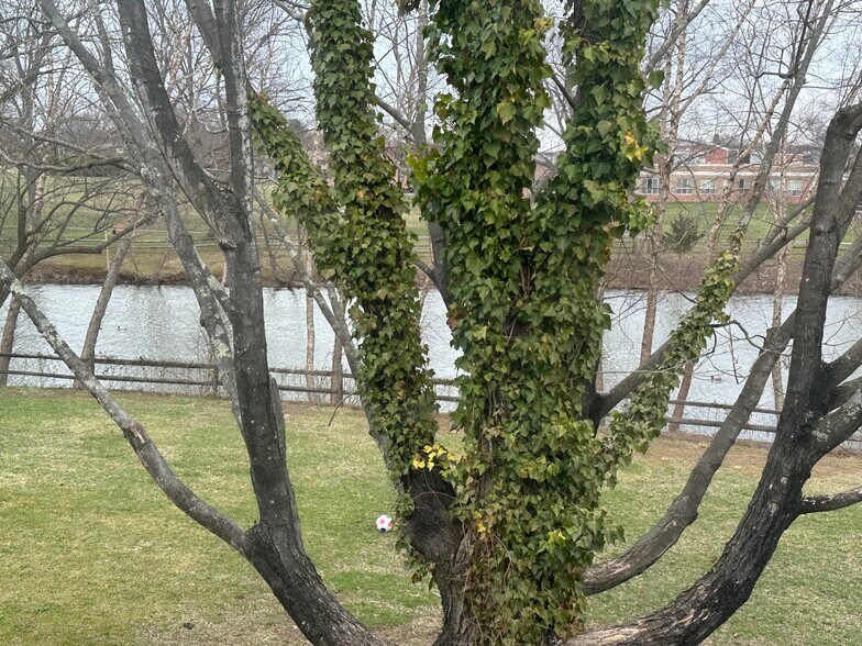 Lake view from the bedrooms - 10L Dennison Dr