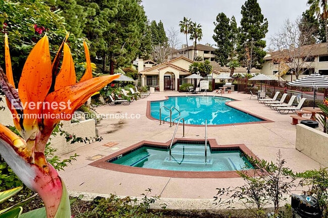 Building Photo - 3557 Paseo De Francisco