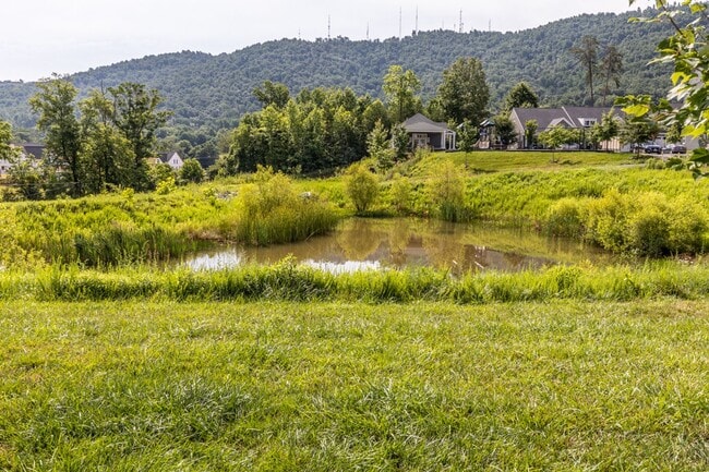 Building Photo - 2126 Avinity Loop