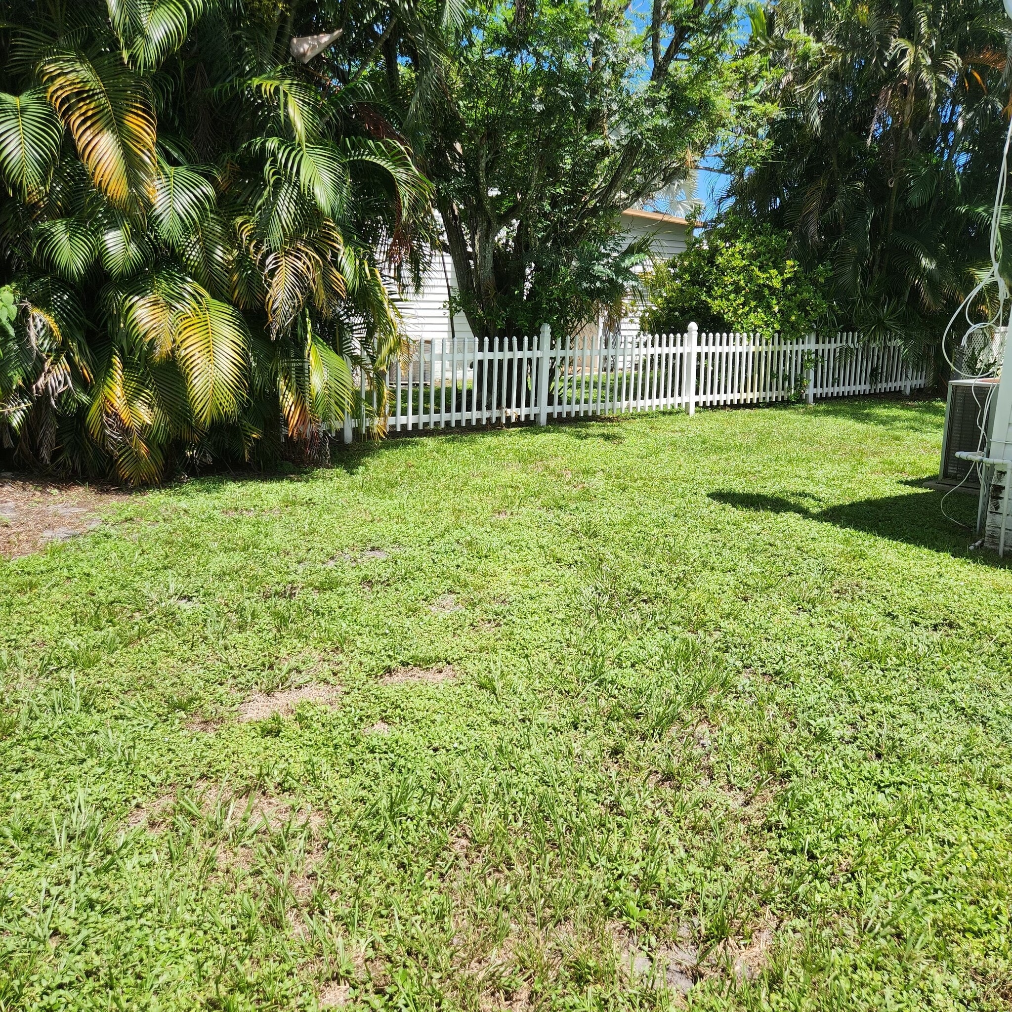 Backyard - 2050 SW 83rd Ter