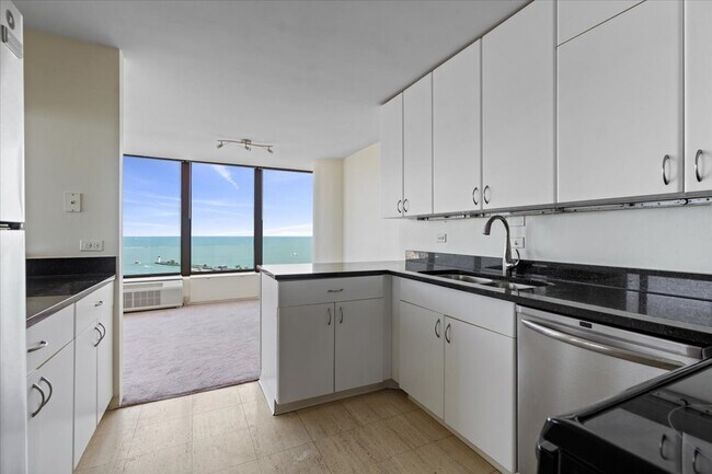 Building Photo - 505 N Lake Shore Dr