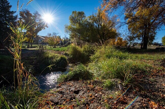 Building Photo - Beautiful and Spacious 3 Bed, 2.5 Bath Hom...