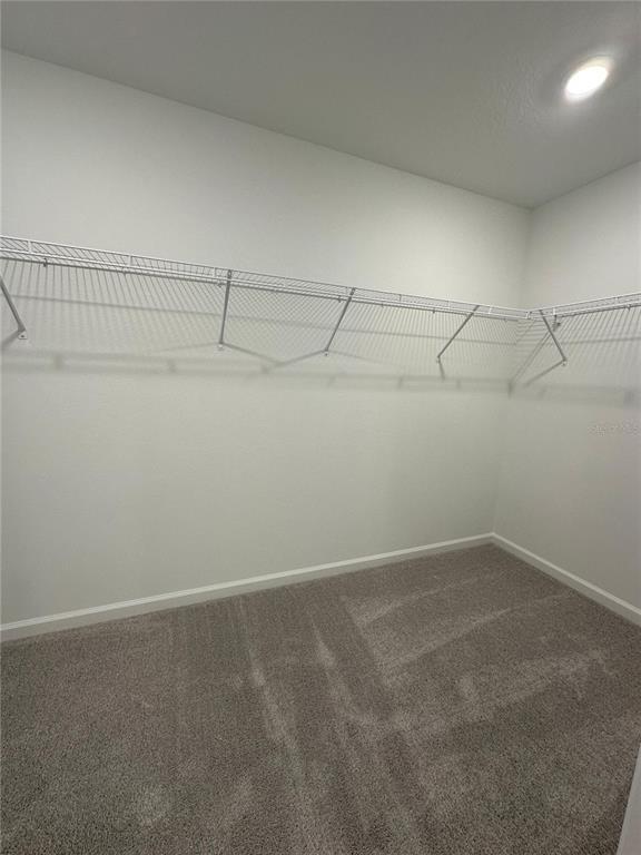 Building Photo - 5675 Portico Pl