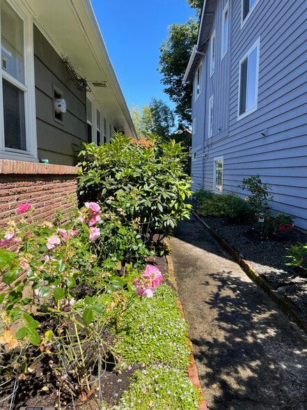 side yard - 2934 2nd Ave N