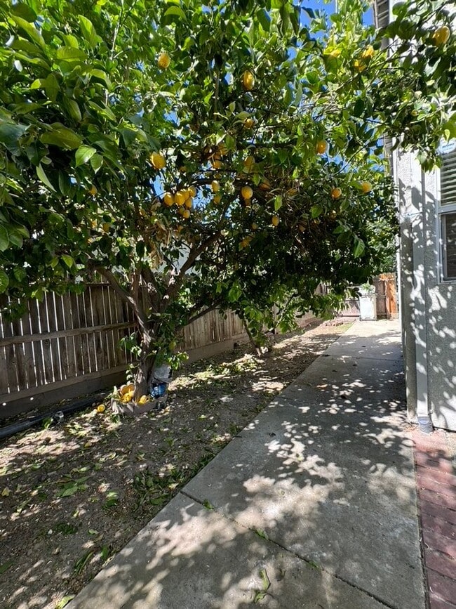 Building Photo - Comfortable home has 5Bdm 3Ba Home With 3 ...