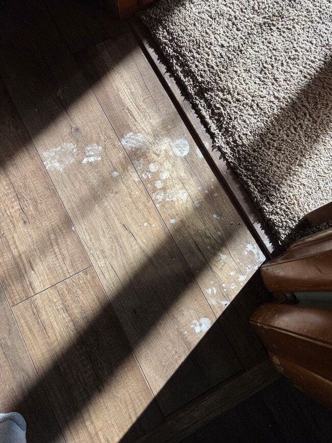 Building Photo - Country Setting, Sprawling Ranch