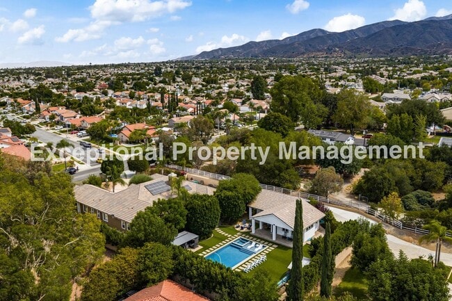 Building Photo - Amazing Executive Estate!