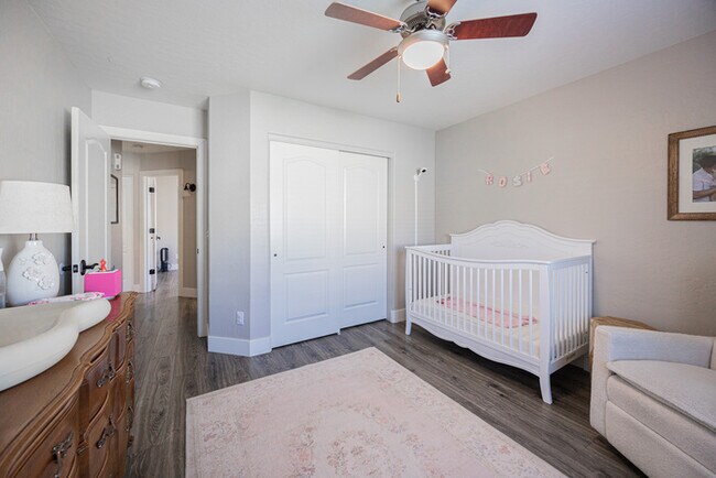 Building Photo - 904 S Dolphin Dr