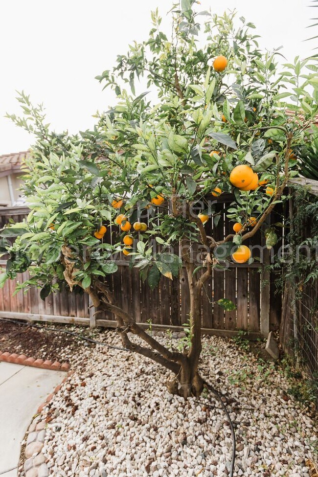 Building Photo - Beautiful 4 bed / 2 bath / 1,708 sqft Single Story Home in Rio Vista community of Oceanside
