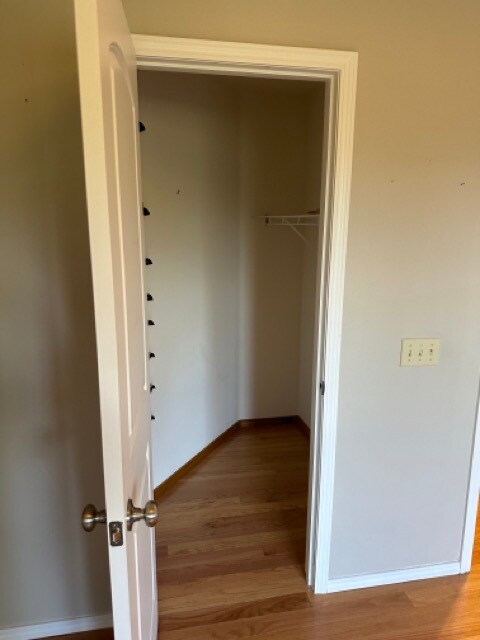 Building Photo - 1258 W Bluegrass Rd