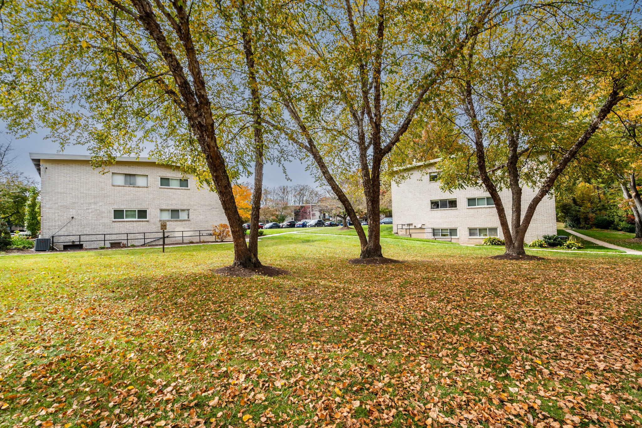 Building Photo - 4965 Americana Dr