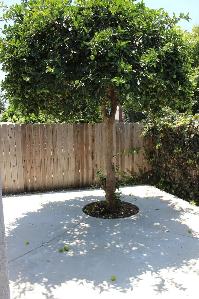 Building Photo - Brand New Construction, Never Lived In, 2bd 2ba in Fullerton