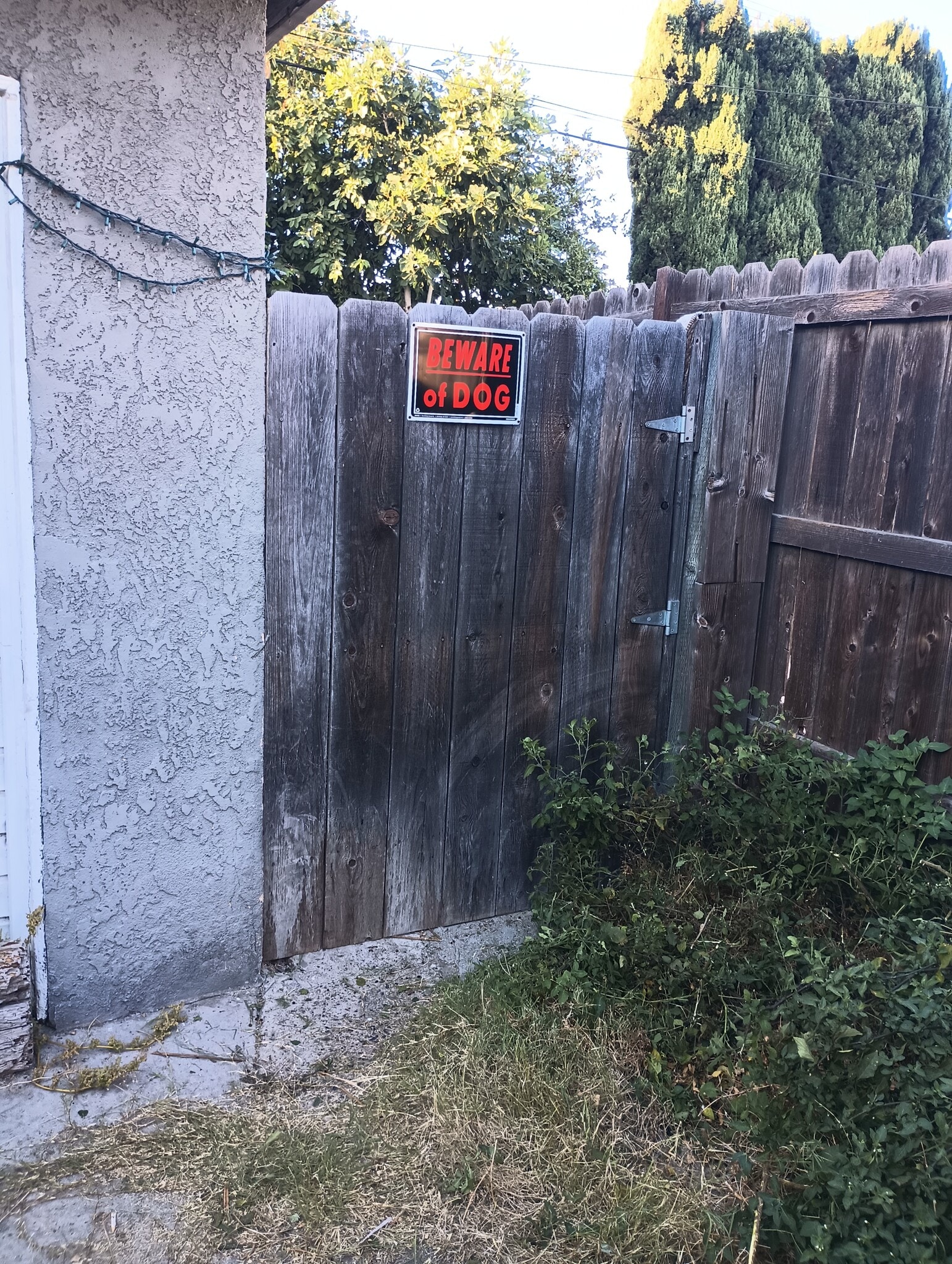 Wooden door entry - 11925 168th St