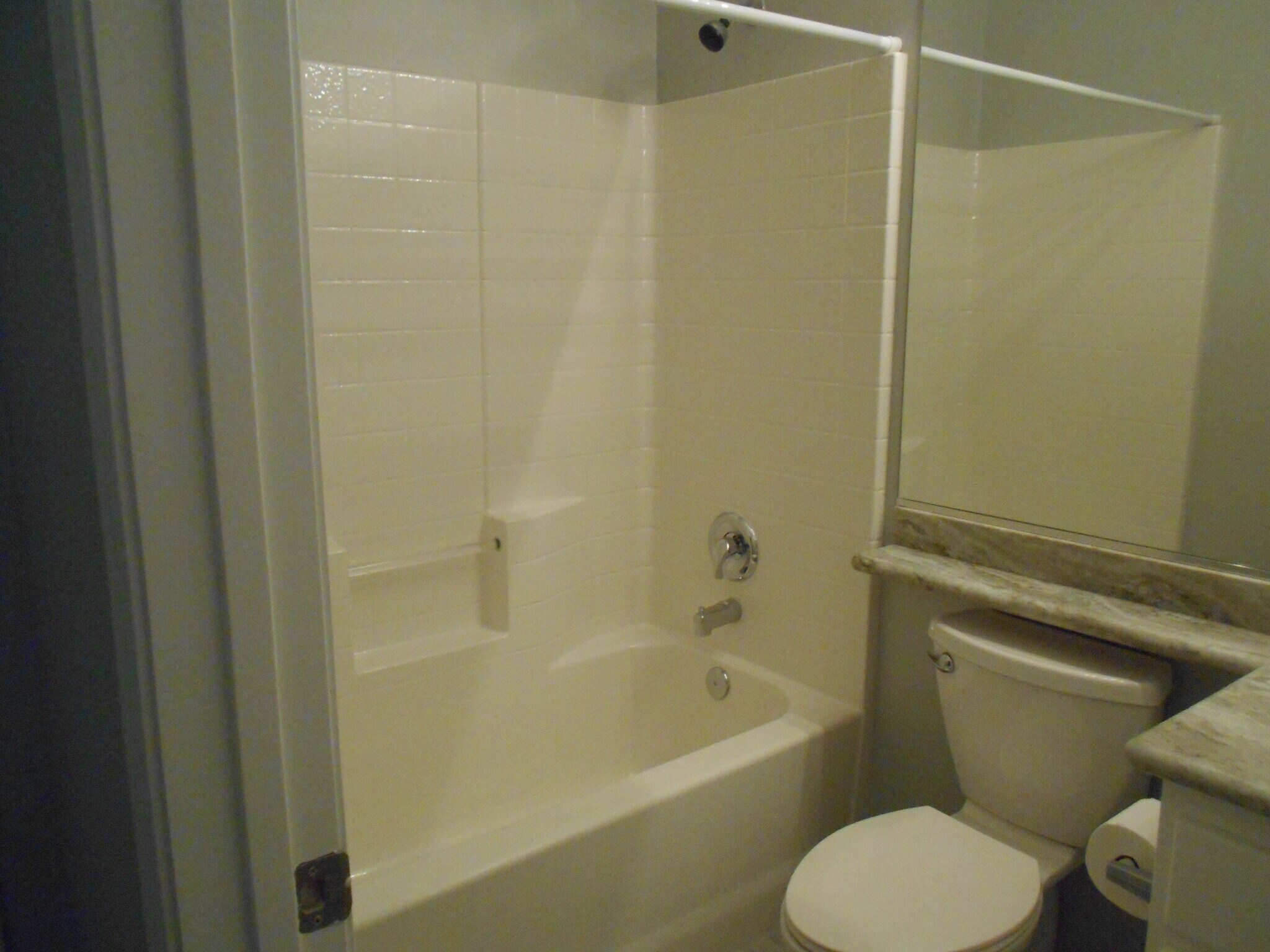 2nd bathroom-tub & shower - 1379 Forlana Dr