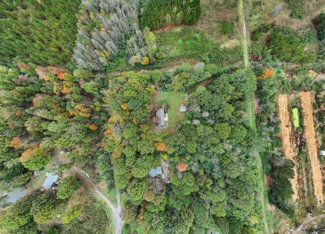 Building Photo - 3b/3ba RENTAL on 5.2 acres CULLMAN