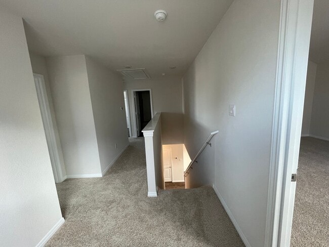 Building Photo - 149 Alamo Vine Ct