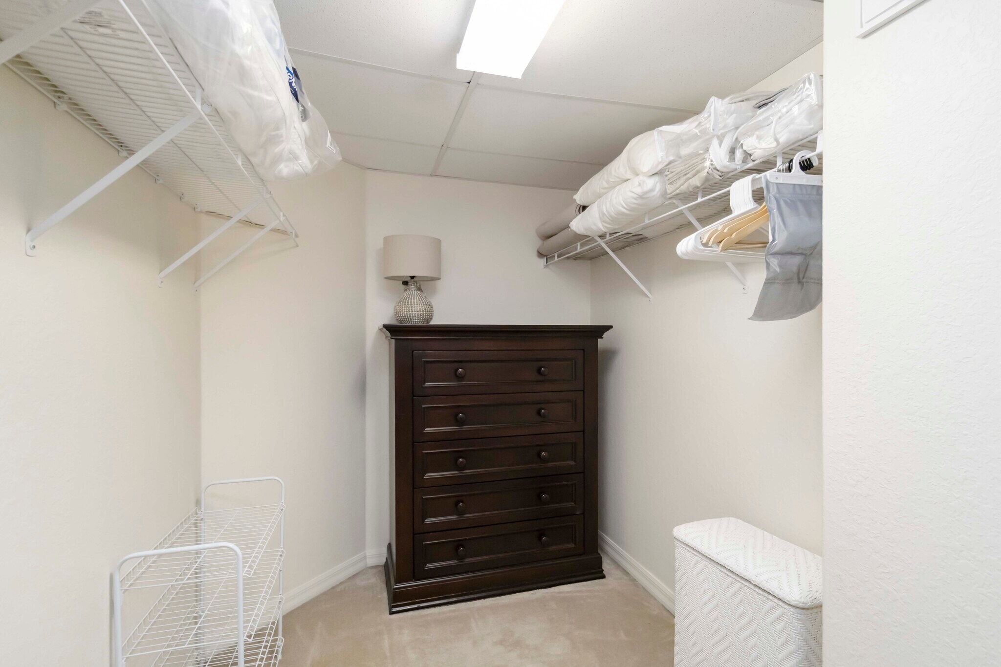 Primary Walk In Closet - 8202 L Pavia Blvd