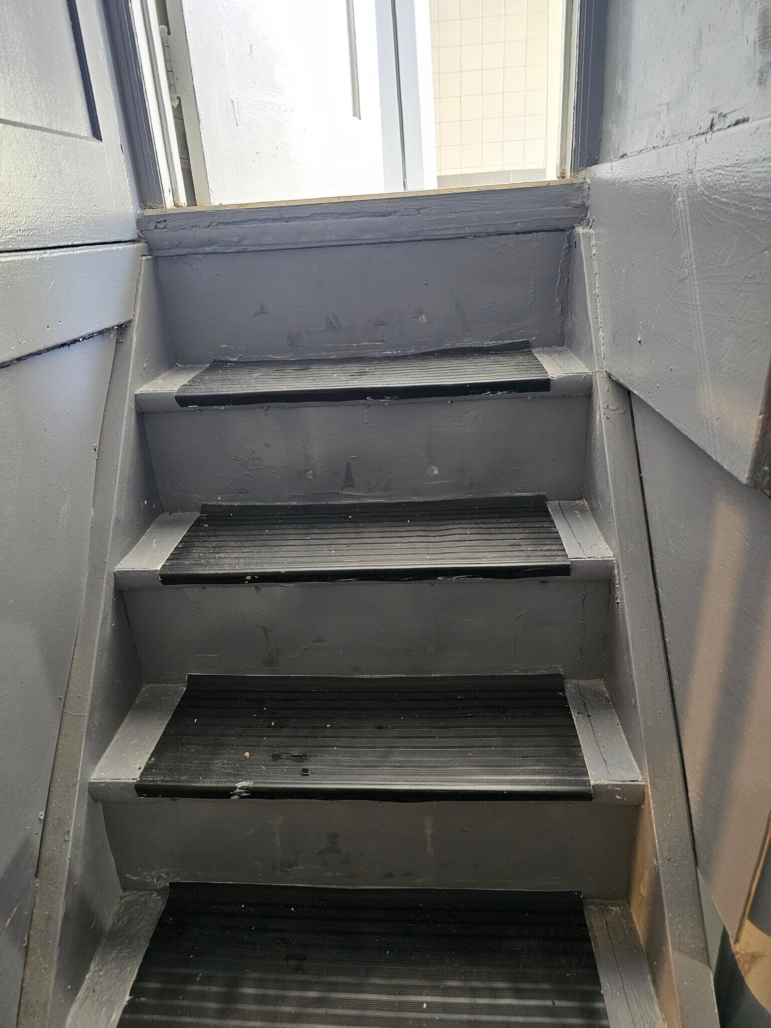 Basement steps - 1268 Stirling St