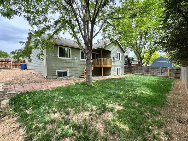 Backyard - 1908 Sherwood Ln